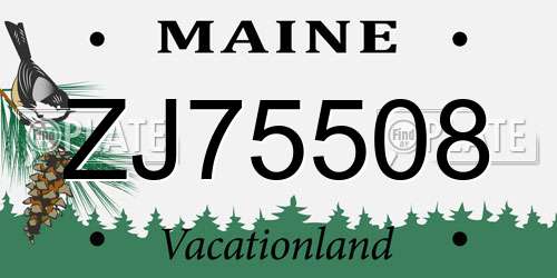 ZJ75508 Maine License Plate