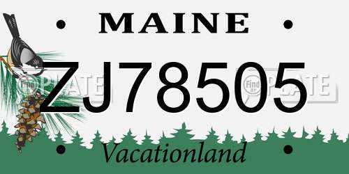 ZJ78505 Maine License Plate