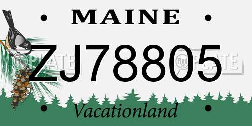ZJ78805 Maine License Plate