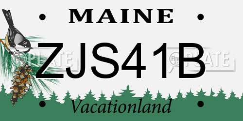 ZJS41B Maine License Plate