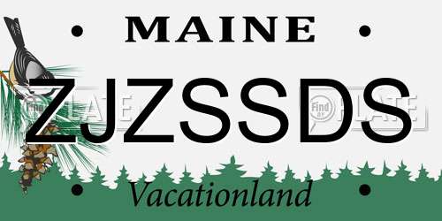 ZJZSSDS Maine License Plate
