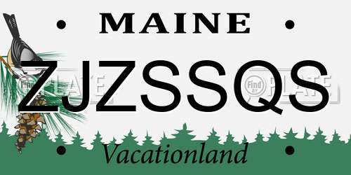 ZJZSSQS Maine License Plate