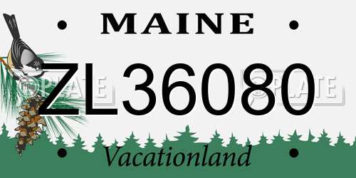 ZL36080 Maine License Plate