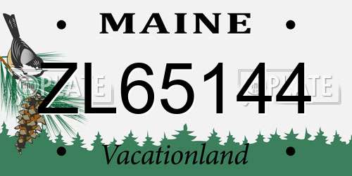 ZL65144 Maine License Plate