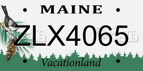 ZLX4065 Maine License Plate