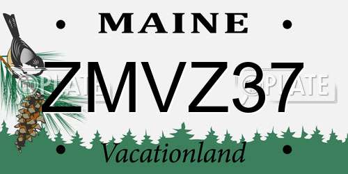 ZMVZ37 Maine License Plate