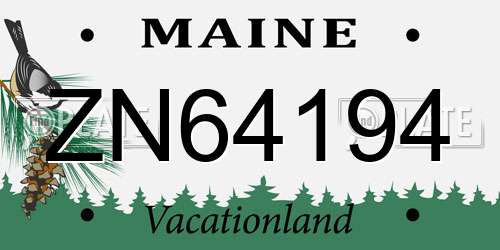 ZN64194 Maine License Plate