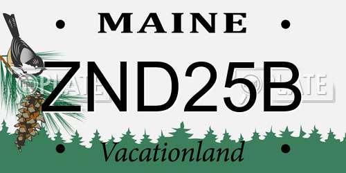ZND25B Maine License Plate