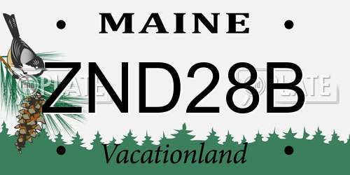 ZND28B Maine License Plate