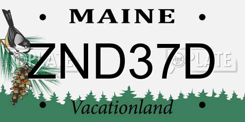 ZND37D Maine License Plate