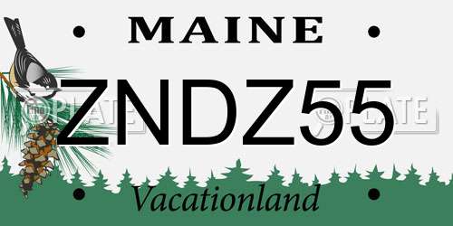 ZNDZ55 Maine License Plate
