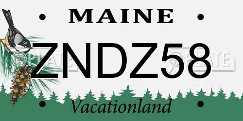 ZNDZ58 Maine License Plate