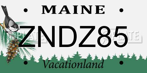 ZNDZ85 Maine License Plate