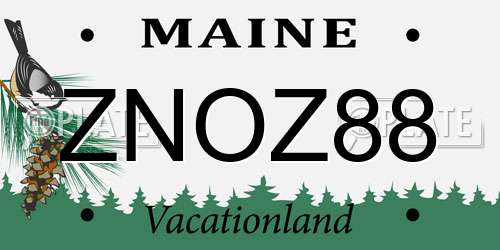 ZNOZ88 Maine License Plate