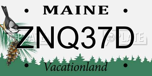 ZNQ37D Maine License Plate