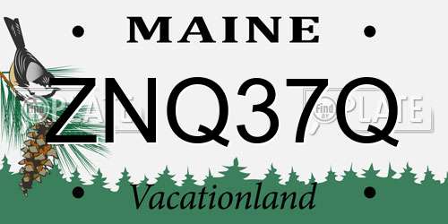 ZNQ37Q Maine License Plate