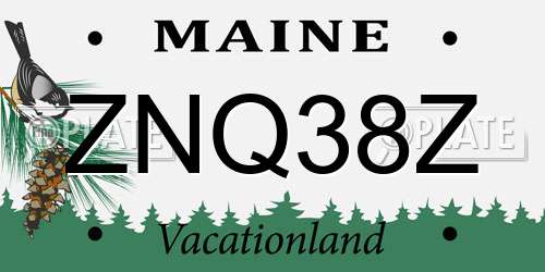 ZNQ38Z Maine License Plate