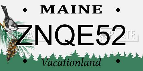 ZNQE52 Maine License Plate