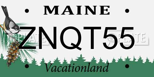 ZNQT55 Maine License Plate