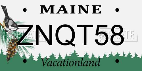 ZNQT58 Maine License Plate