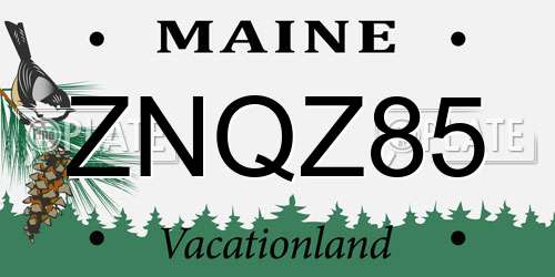 ZNQZ85 Maine License Plate