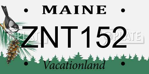 ZNT152 Maine License Plate