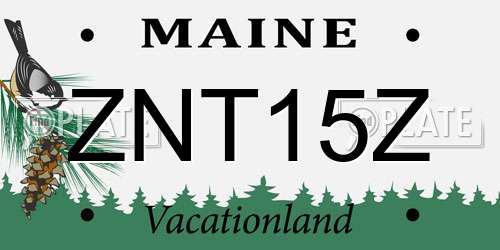 ZNT15Z Maine License Plate