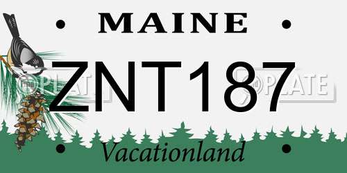 ZNT187 Maine License Plate