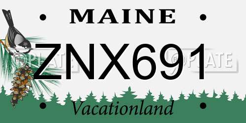 ZNX691 Maine License Plate