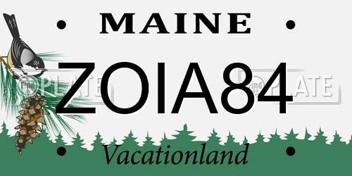 ZOIA84 Maine License Plate
