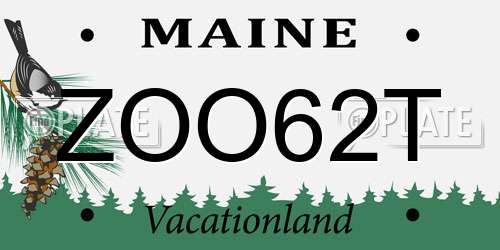 ZOO62T Maine License Plate
