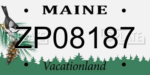 ZP08187 Maine License Plate