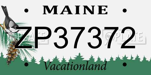 ZP37372 Maine License Plate