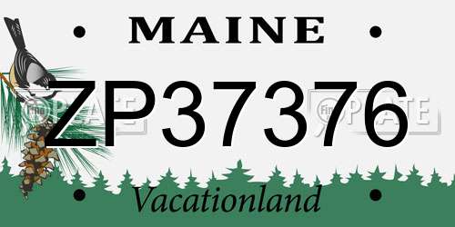 ZP37376 Maine License Plate