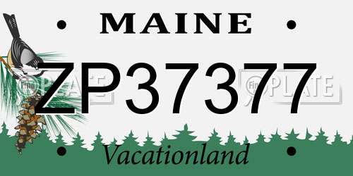 ZP37377 Maine License Plate
