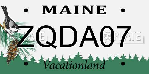 ZQDA07 Maine License Plate