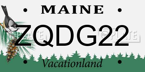 ZQDG22 Maine License Plate