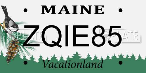 ZQIE85 Maine License Plate