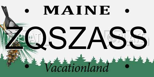 ZQSZASS Maine License Plate
