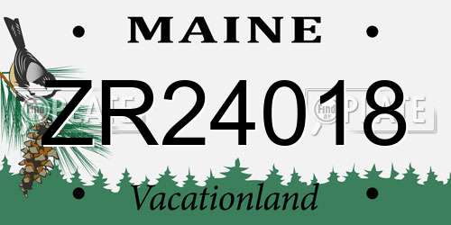 ZR24018 Maine License Plate