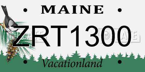 ZRT1300 Maine License Plate