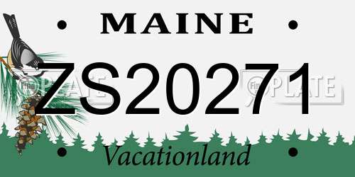 ZS20271 Maine License Plate