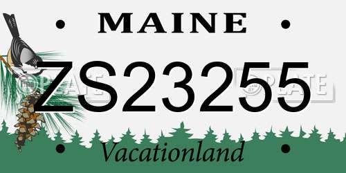 ZS23255 Maine License Plate