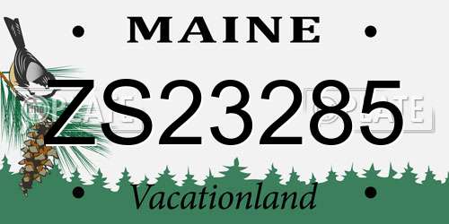 ZS23285 Maine License Plate