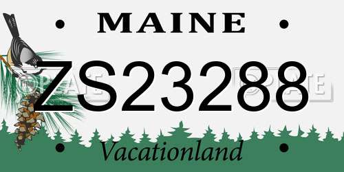 ZS23288 Maine License Plate