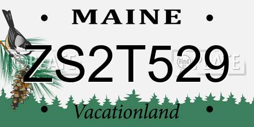 ZS2T529 Maine License Plate