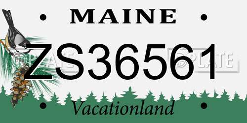 ZS36561 Maine License Plate