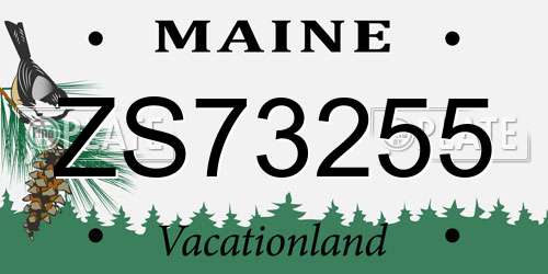 ZS73255 Maine License Plate