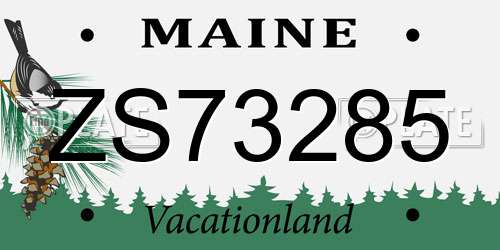 ZS73285 Maine License Plate