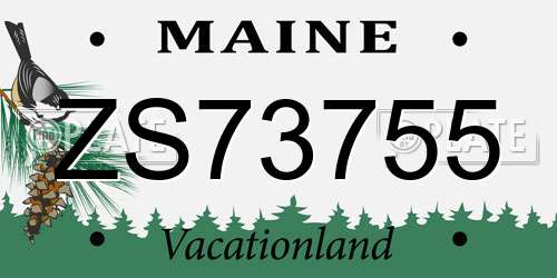 ZS73755 Maine License Plate